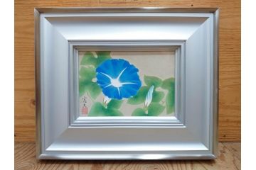 真作　京都　日本画家　井上富夫　「朝顔」(アサガオ、共シール、絵画、額装、箱付き)(R-074566)