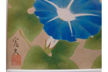 真作　京都　日本画家　井上富夫　「朝顔」(アサガオ、共シール、絵画、額装、箱付き)(R-074566)