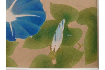 真作　京都　日本画家　井上富夫　「朝顔」(アサガオ、共シール、絵画、額装、箱付き)(R-074566)