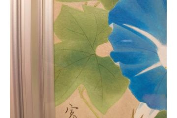 真作　京都　日本画家　井上富夫　「朝顔」(アサガオ、共シール、絵画、額装、箱付き)(R-074566)
