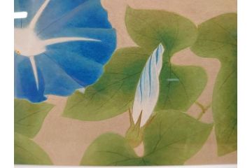 真作　京都　日本画家　井上富夫　「朝顔」(アサガオ、共シール、絵画、額装、箱付き)(R-074566)