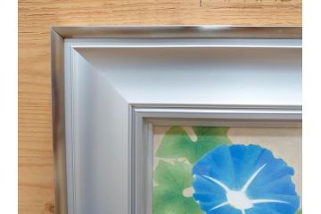 真作　京都　日本画家　井上富夫　「朝顔」(アサガオ、共シール、絵画、額装、箱付き)(R-074566)