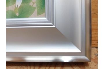 真作　京都　日本画家　井上富夫　「朝顔」(アサガオ、共シール、絵画、額装、箱付き)(R-074566)