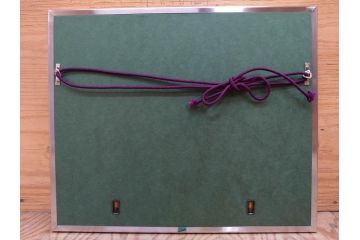 真作　京都　日本画家　井上富夫　「朝顔」(アサガオ、共シール、絵画、額装、箱付き)(R-074566)