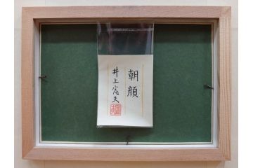 真作　京都　日本画家　井上富夫　「朝顔」(アサガオ、共シール、絵画、額装、箱付き)(R-074566)