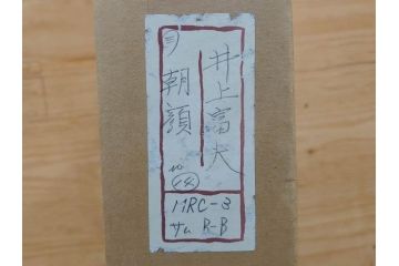真作　京都　日本画家　井上富夫　「朝顔」(アサガオ、共シール、絵画、額装、箱付き)(R-074566)