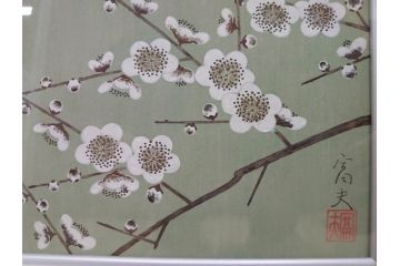 真作　京都　日本画家　井上富夫　「白梅」(ウメ、共シール、絵画、額装、箱付き)(R-074567)