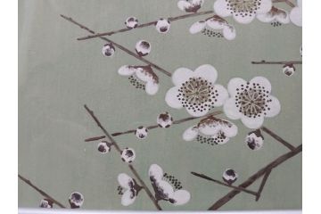 真作　京都　日本画家　井上富夫　「白梅」(ウメ、共シール、絵画、額装、箱付き)(R-074567)