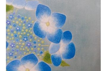 真作　京都　日本画家　井上富夫　「八仙花」(紫陽花、共シール、絵画、額装、箱付き)(R-074568)