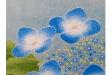 真作　京都　日本画家　井上富夫　「八仙花」(紫陽花、共シール、絵画、額装、箱付き)(R-074568)