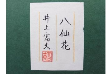 真作　京都　日本画家　井上富夫　「八仙花」(紫陽花、共シール、絵画、額装、箱付き)(R-074568)