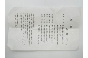 重要無形文化財　人間国宝　島岡達三　縄文象嵌　赤絵　縁起の良い絵付けが印象的なぐい呑(酒器、ぐい呑み、和食器、共箱付き)(R-074569)