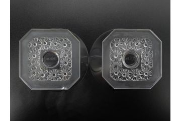 アンティーク　ルネ・ラリック(R.LALIQUE)　洗練されたデザインが優美な印象を与えるシャンパングラス2客セット(ヒナギク、パクレット、デイジー、デザート、コンポート、フルーツ、小鉢、ミニボウル、ガラス)(R-074587)