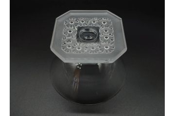 アンティーク　ルネ・ラリック(R.LALIQUE)　洗練されたデザインが優美な印象を与えるシャンパングラス2客セット(ヒナギク、パクレット、デイジー、デザート、コンポート、フルーツ、小鉢、ミニボウル、ガラス)(R-074587)
