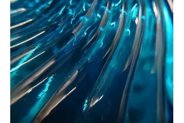 稀少!　フランス　Baccarat　オールドバカラ　バンブー　美しいブルーカラーと繊細なデザインが目を惹くコンポート(フルーツスタンド、脚付きボウル、フリル、DEPOSE刻印あり、フルレッドクリスタルガラス)(R-074595)