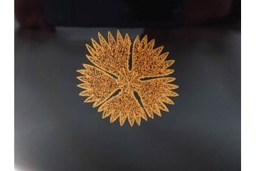 輪島塗　花寄　約14cm　4.6寸　丁寧に描かれた蒔絵が上品な雰囲気を高める吸物椀10客セット(お椀、漆器、和食器、黒漆、共箱付き、四寸六分)(R-074600)