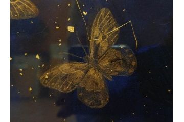 真作　現代日本画家　大竹寛子　「Psyche -gold butterfly- Vol.4」　M6(6号)(生命としての蝶、プシュケー、絵画、額装、共シール、箱付き)(R-074609)