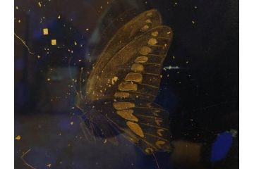 真作　現代日本画家　大竹寛子　「Psyche -gold butterfly- Vol.4」　M6(6号)(生命としての蝶、プシュケー、絵画、額装、共シール、箱付き)(R-074609)