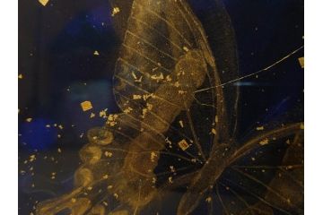 真作　現代日本画家　大竹寛子　「Psyche -gold butterfly- Vol.4」　M6(6号)(生命としての蝶、プシュケー、絵画、額装、共シール、箱付き)(R-074609)