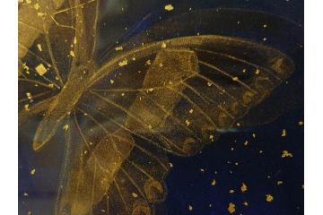 真作　現代日本画家　大竹寛子　「Psyche -gold butterfly- Vol.4」　M6(6号)(生命としての蝶、プシュケー、絵画、額装、共シール、箱付き)(R-074609)