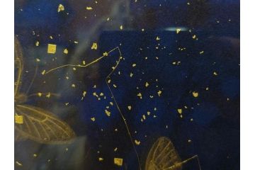 真作　現代日本画家　大竹寛子　「Psyche -gold butterfly- Vol.4」　M6(6号)(生命としての蝶、プシュケー、絵画、額装、共シール、箱付き)(R-074609)
