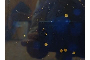 真作　現代日本画家　大竹寛子　「Psyche -gold butterfly- Vol.4」　M6(6号)(生命としての蝶、プシュケー、絵画、額装、共シール、箱付き)(R-074609)