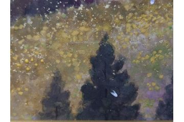 【真作】 日本画家　木村圭吾　「丘の春 醍醐桜」　2002年制作　4号P(木村圭吾さくら美術館、絵画、額装、共シール、箱付き)(R-074610)