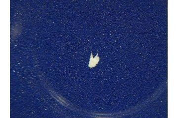 【真作】 日本画家　木村圭吾　「丘の春 醍醐桜」　2002年制作　4号P(木村圭吾さくら美術館、絵画、額装、共シール、箱付き)(R-074610)