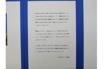 【真作】 日本画家　木村圭吾　「丘の春 醍醐桜」　2002年制作　4号P(木村圭吾さくら美術館、絵画、額装、共シール、箱付き)(R-074610)