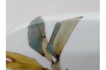 山田義明　九谷焼　色絵　高さ約24cm　美しい絵柄と色合いに魅了される扁壷(壺、鳥、共箱付き)(R-074613)