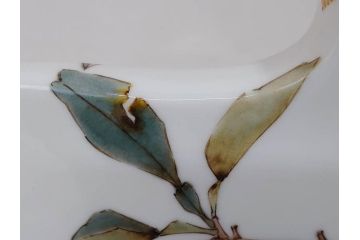 山田義明　九谷焼　色絵　高さ約24cm　美しい絵柄と色合いに魅了される扁壷(壺、鳥、共箱付き)(R-074613)