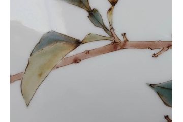 山田義明　九谷焼　色絵　高さ約24cm　美しい絵柄と色合いに魅了される扁壷(壺、鳥、共箱付き)(R-074613)