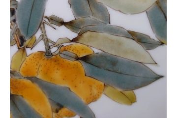 山田義明　九谷焼　色絵　高さ約24cm　美しい絵柄と色合いに魅了される扁壷(壺、鳥、共箱付き)(R-074613)