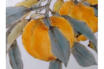 山田義明　九谷焼　色絵　高さ約24cm　美しい絵柄と色合いに魅了される扁壷(壺、鳥、共箱付き)(R-074613)