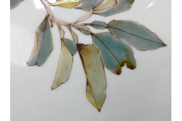 山田義明　九谷焼　色絵　高さ約24cm　美しい絵柄と色合いに魅了される扁壷(壺、鳥、共箱付き)(R-074613)