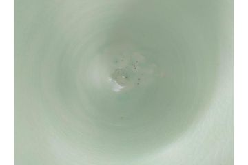 三浦シュレイ　月見草　繊細な絵柄と美しい色彩に魅了される花瓶(朱鈴、しゅ鈴、朱鈴、花器、花入、共箱付き)(R-074615)