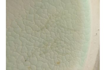 三浦シュレイ　月見草　繊細な絵柄と美しい色彩に魅了される花瓶(朱鈴、しゅ鈴、朱鈴、花器、花入、共箱付き)(R-074615)
