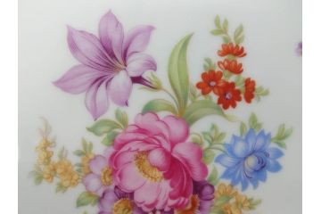 ドイツ　ドレスデン　シューマン ババリア　SCHUMANN BAVARIA　 金彩　フラワー　華やかな花たちが食卓に彩を与えるプレート6枚セット(大小、皿、洋食器)(R-074620)