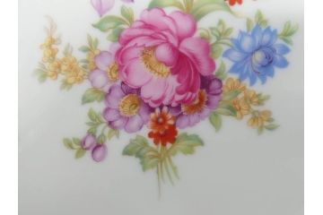 ドイツ　ドレスデン　シューマン ババリア　SCHUMANN BAVARIA　 金彩　フラワー　華やかな花たちが食卓に彩を与えるプレート6枚セット(大小、皿、洋食器)(R-074620)