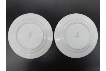 ドイツ　ドレスデン　シューマン ババリア　SCHUMANN BAVARIA　 金彩　フラワー　華やかな花たちが食卓に彩を与えるプレート6枚セット(大小、皿、洋食器)(R-074620)