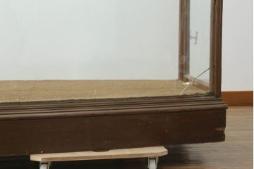 イギリスアンティーク　特大　曲げガラス　シンプルなデザインで取り入れやすいショーケース(ガラスケース、Gケース、ディスプレイケース、コレクションケース、キャビネット、飾り棚、陳列棚、店舗什器、英国)(R-074687)