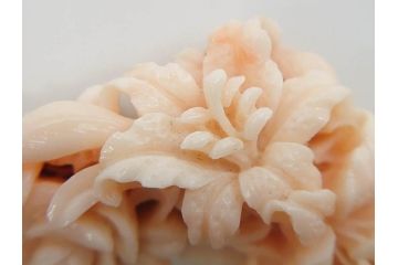白珊瑚　K18　上品で清楚な印象の帯留め(サンゴ、帯締め、着物道具、和装小物、アクセサリー、ケース付き)(R-074714)