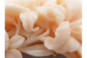 白珊瑚　K18　上品で清楚な印象の帯留め(サンゴ、帯締め、着物道具、和装小物、アクセサリー、ケース付き)(R-074714)