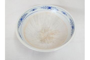 川本半助　瀬戸染付　花鳥文　約38cm　1尺2寸皿　手描きの味わいが魅力的なすり鉢(和食器、一尺二寸)(R-074717)