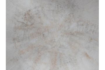 川本半助　瀬戸染付　花鳥文　約38cm　1尺2寸皿　手描きの味わいが魅力的なすり鉢(和食器、一尺二寸)(R-074717)
