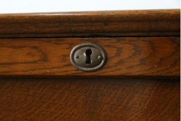 イギリスアンティーク　オーク材　リネンフォールドの意匠が美しいサイドバイサイドビューローブックケース　(R-074744)