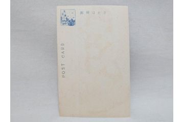 昭和レトロ　新年はがき　新年絵葉書　特製　松盛堂発行　各種取合　88枚&200枚セット(年賀状、ハガキ、箱付き、女の子、男の子、振袖、スキー、凧、動物)(R-074797)