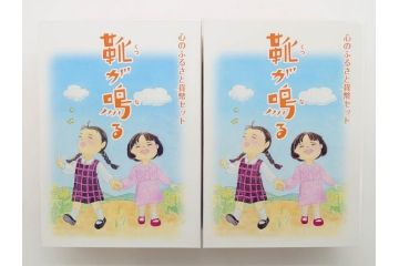 地方自治法施行六十周年記念 5百円バイカラー・クラッドプルーフ　造幣局　さいたま支局開局記念2016プルーフ　靴が鳴る　額面7164円　貨幣セット13点(記念硬貨、心のふるさと、五百円、500円、ケース付き、平成25年・28年)(R-074864)