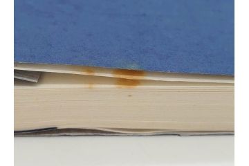 斉白石　印譜(中国、唐本、古書、古本、書道具、和本)(R-074865)