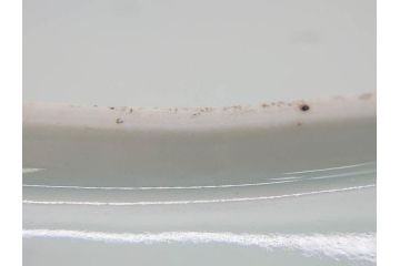 江戸期　古伊万里　染付　龍図　約32cm　1尺皿　藍色の濃淡で表現された迫力のある大皿(輪花、和皿、和食器、一尺)(R-074988)